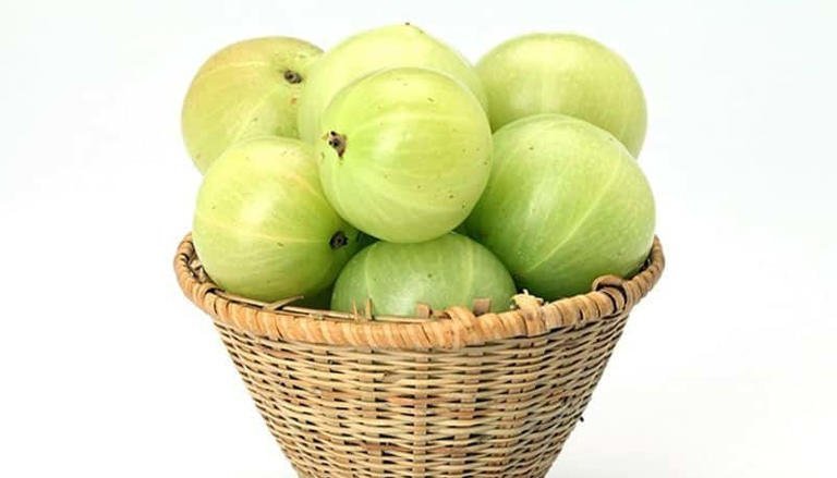 Amla - The Indian Gooseberry