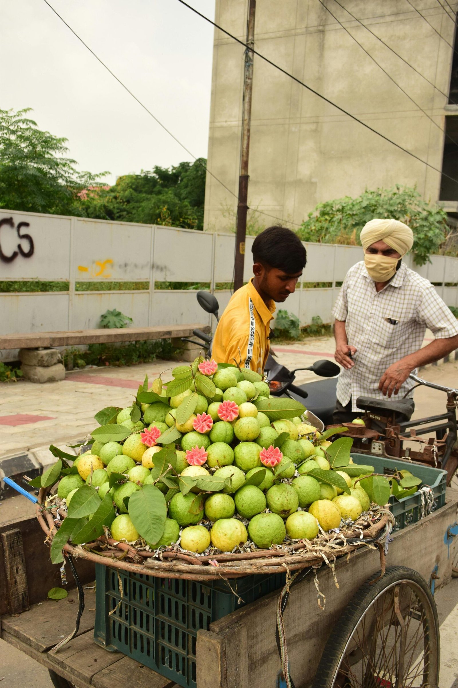 Roadside Guava for sell