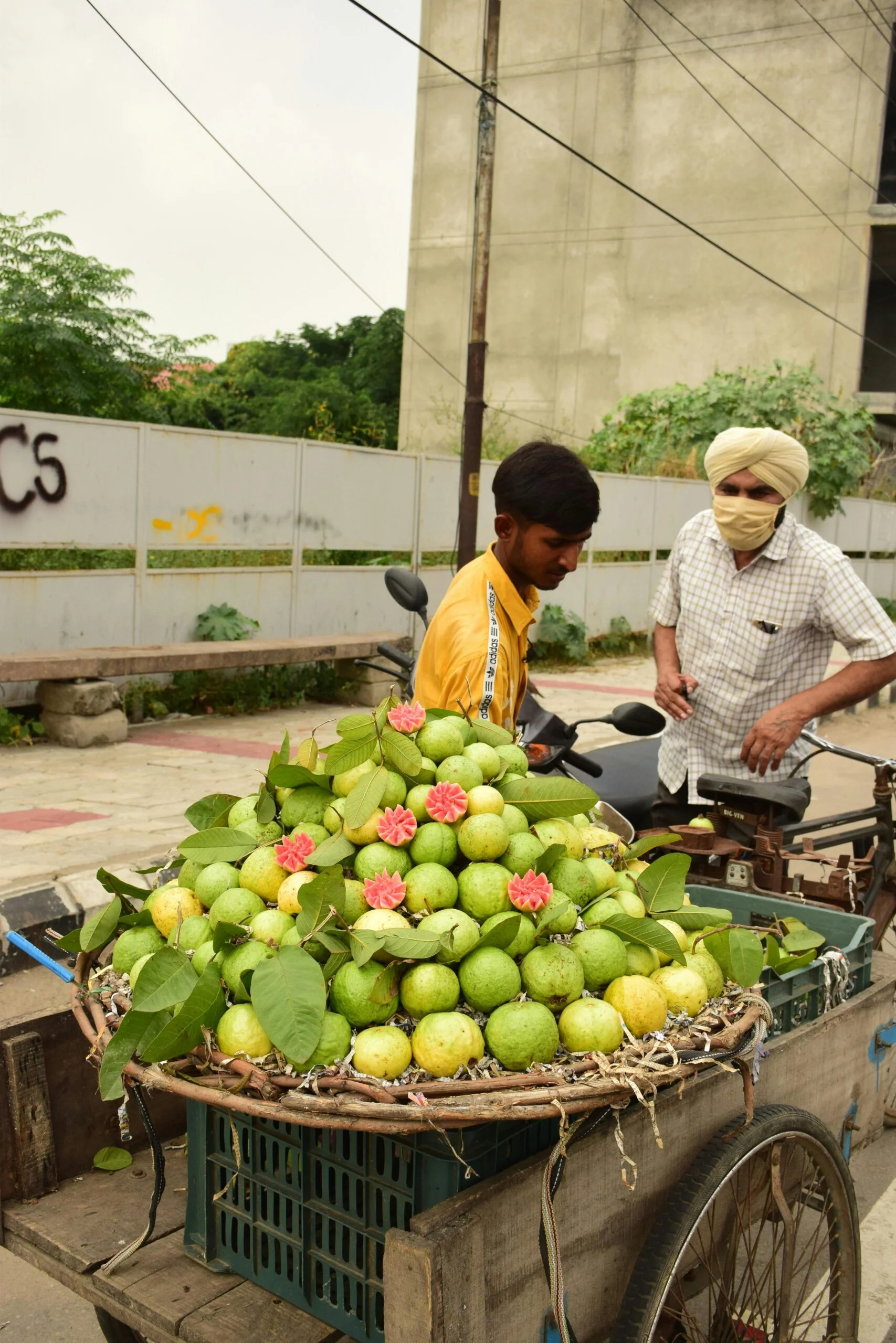 Roadside Guava for sell