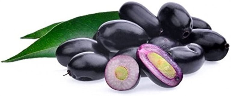 Unlocking the Secret Superpowers of Jamun: Health Benefits Revealed