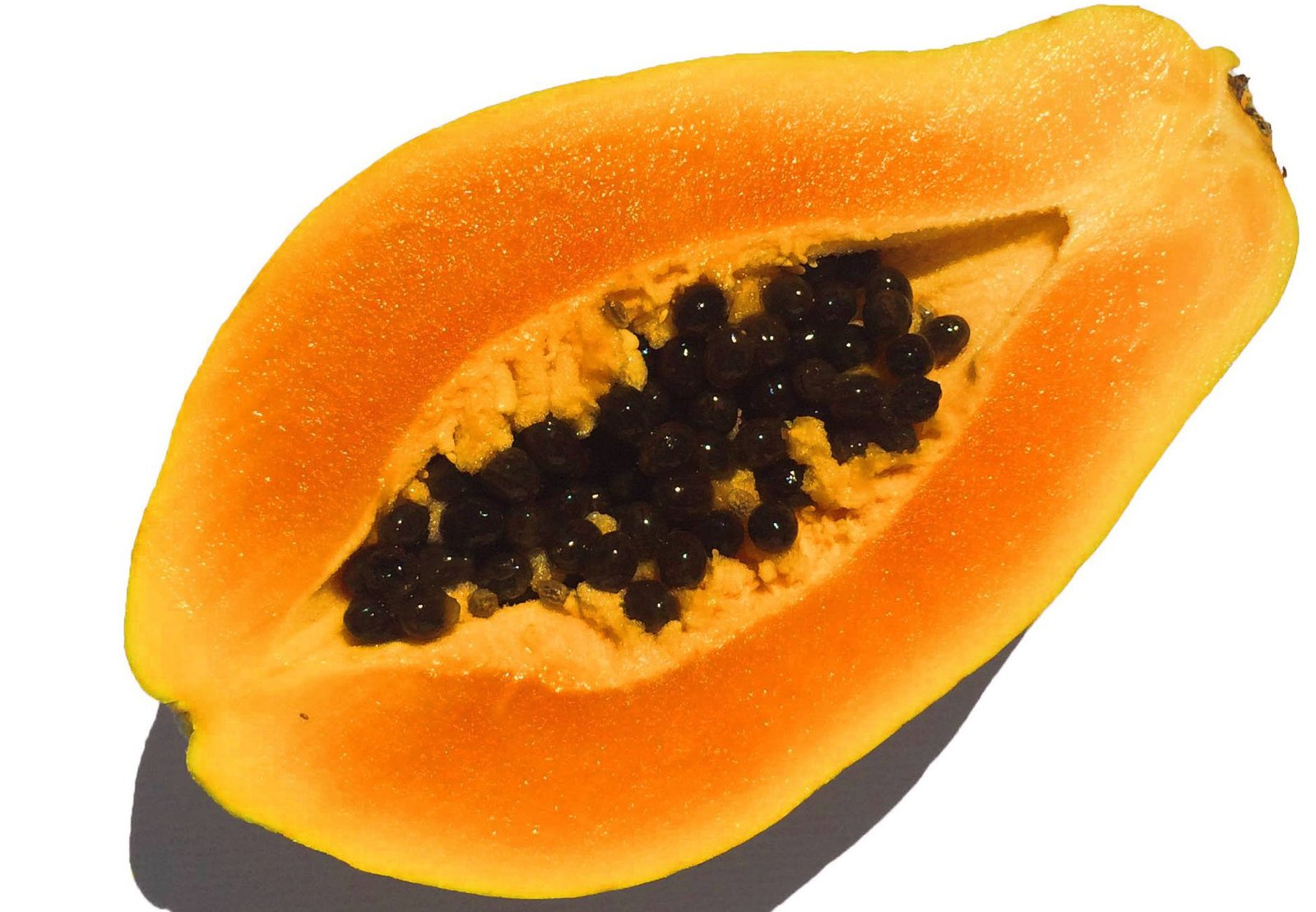 Papaya in vibrant color